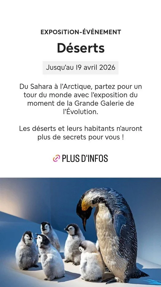 2025 Instagram story for the Muséum, MNHN, Paris