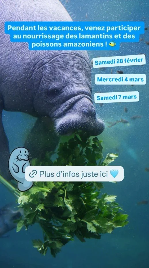 2026 Instagram story for the Zoo de Paris, MNHN, Paris
