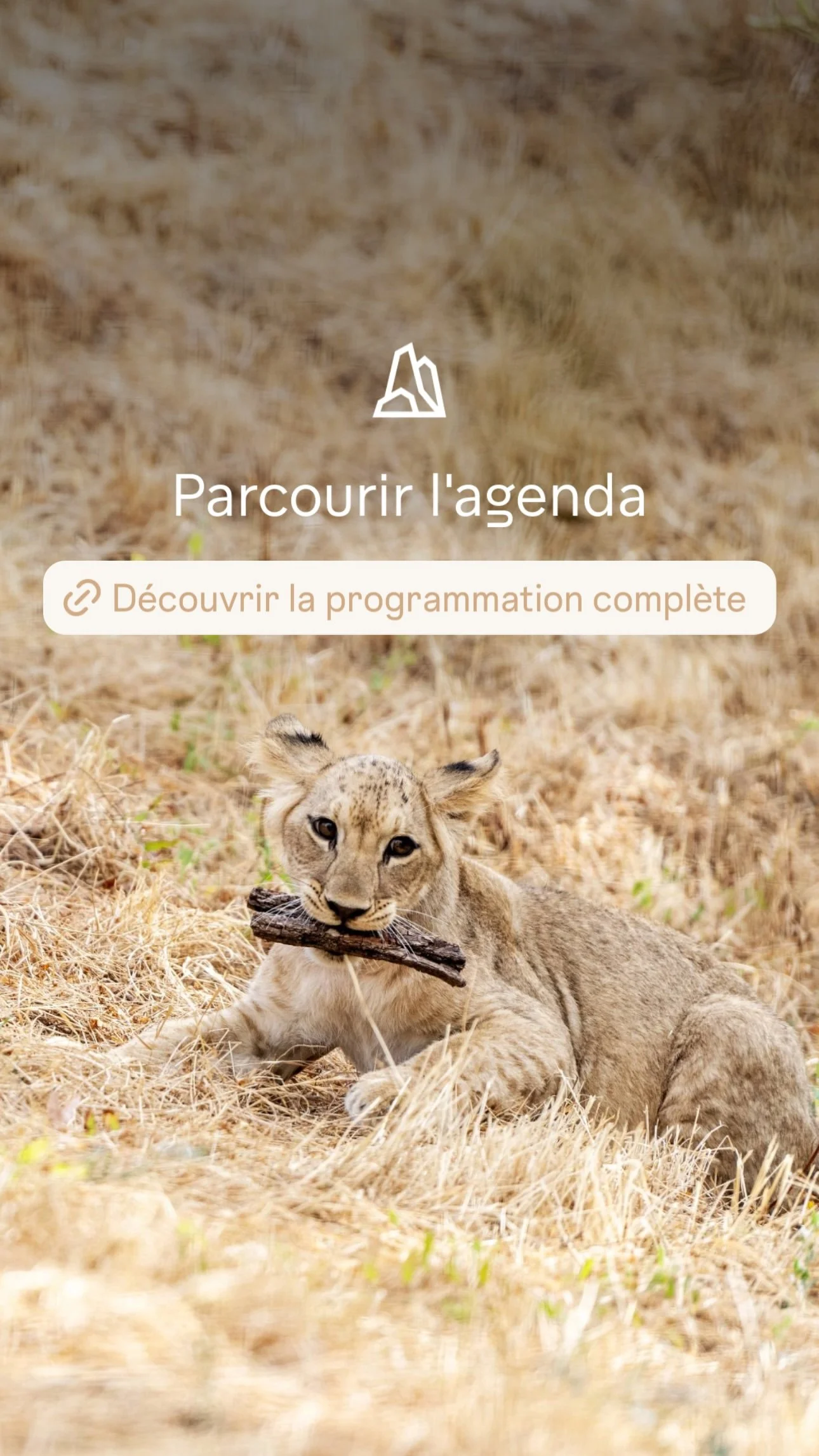 2026 Instagram story for the Zoo de Paris, MNHN, Paris