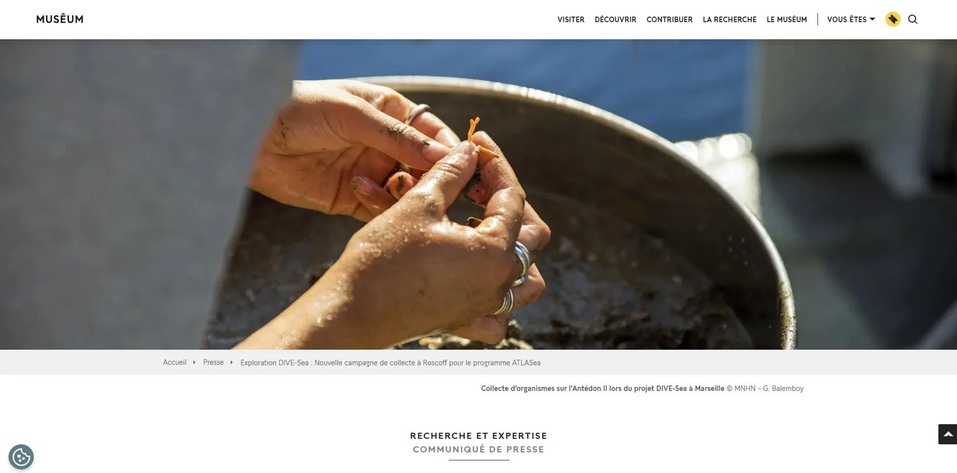DIVE-Sea - MNHN website, MNHN, Paris - 2026
