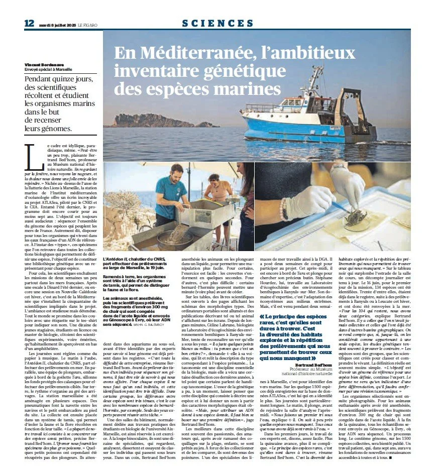 DIVE-Sea - Station marine d'Endoume, Marseille - Le Figaro, July 8th, 2025