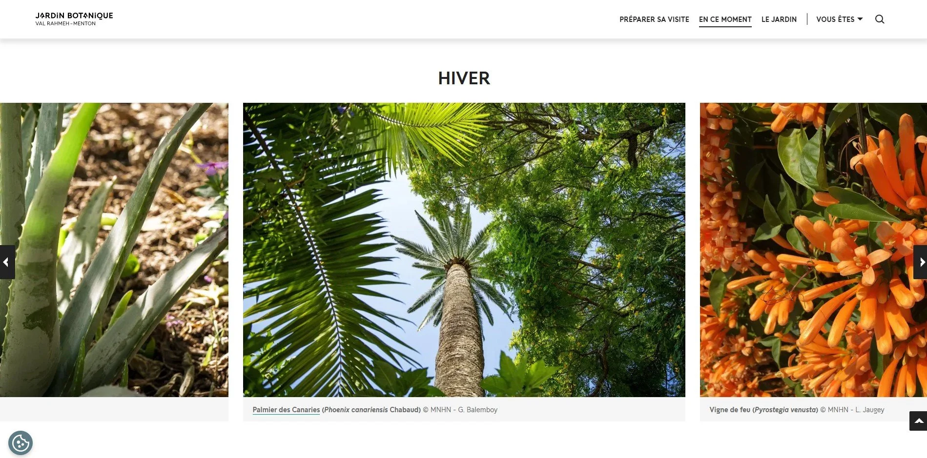 "Val Rahmeh" website, MNHN, Paris - 2025