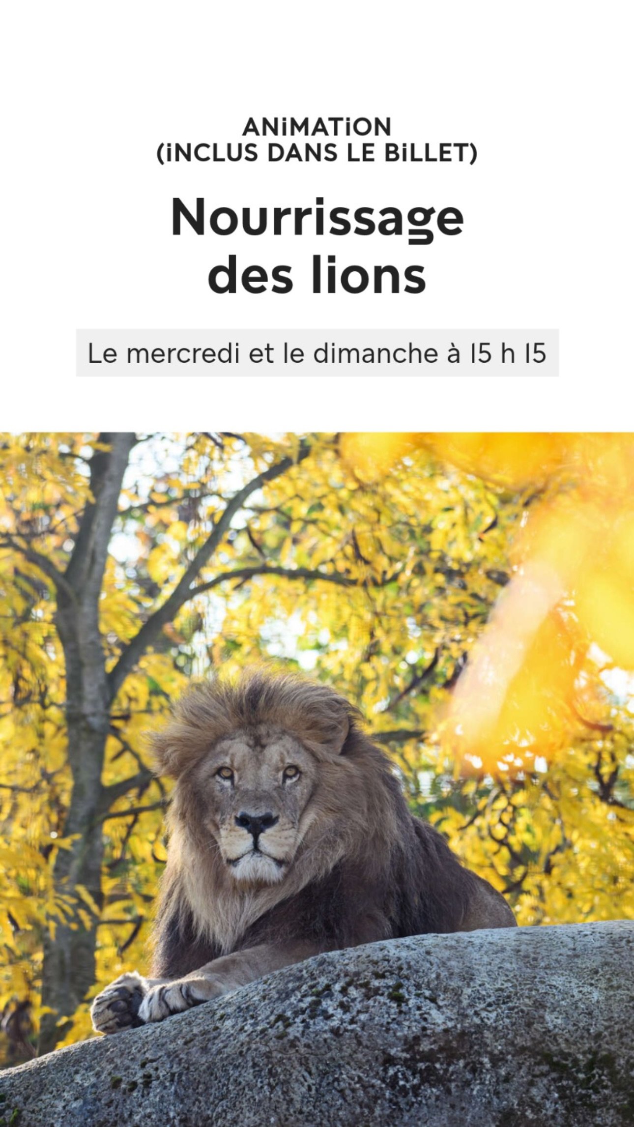 2026 Instagram story for the Zoo de Paris, MNHN, Paris