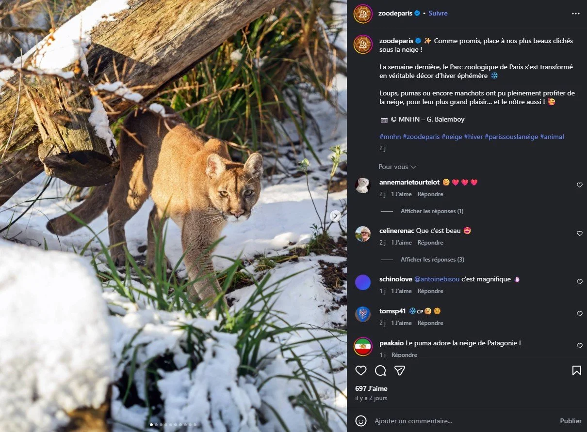 2026 Instagram post for the Zoo de Paris, MNHN, Paris