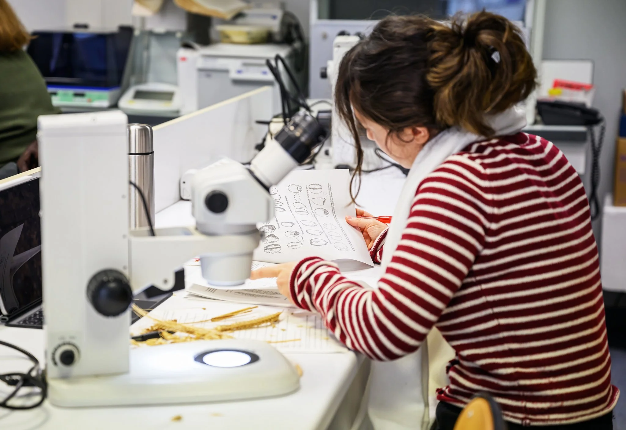 Master BEE - Février 2026