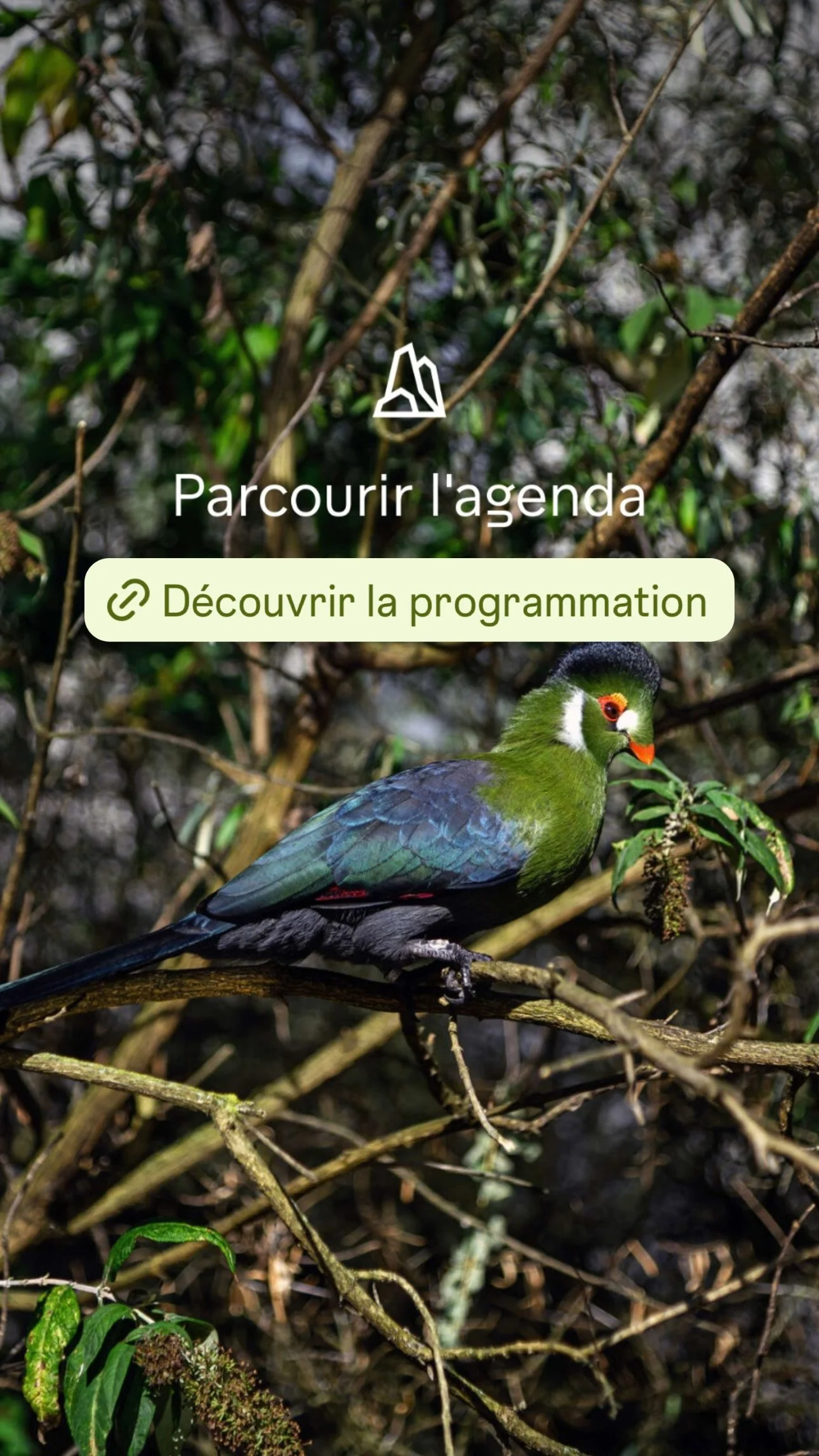 2026 Instagram story for the Zoo de Paris, MNHN, Paris