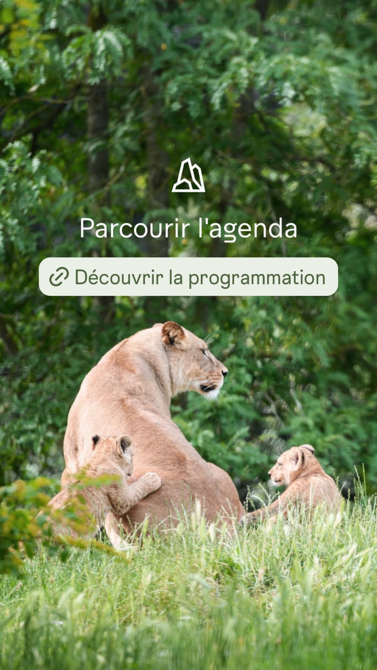 2026 Instagram story for the Zoo de Paris, MNHN, Paris