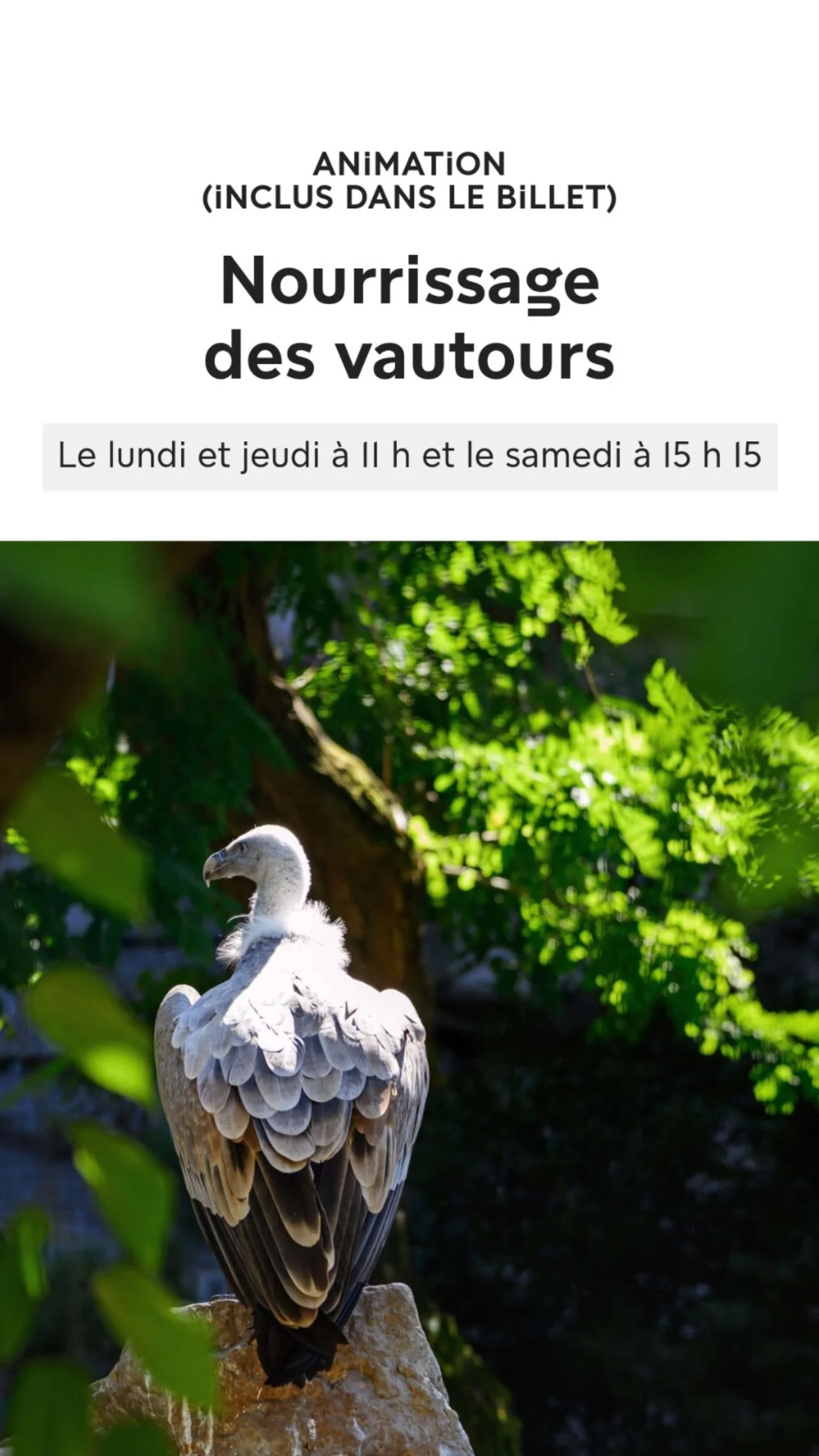 2026 Instagram story for the Zoo de Paris, MNHN, Paris