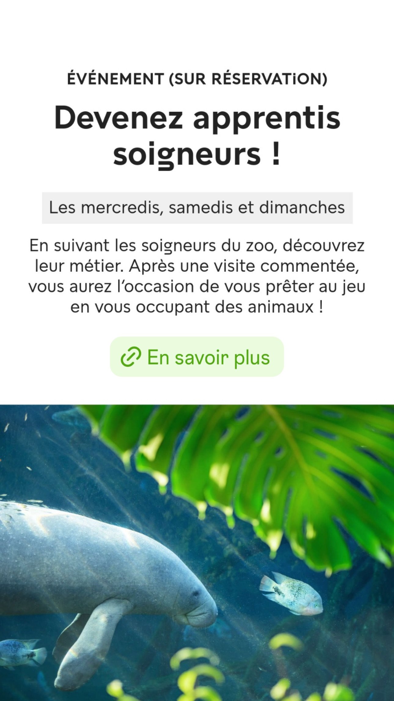 2026 Instagram story for the Zoo de Paris, MNHN, Paris