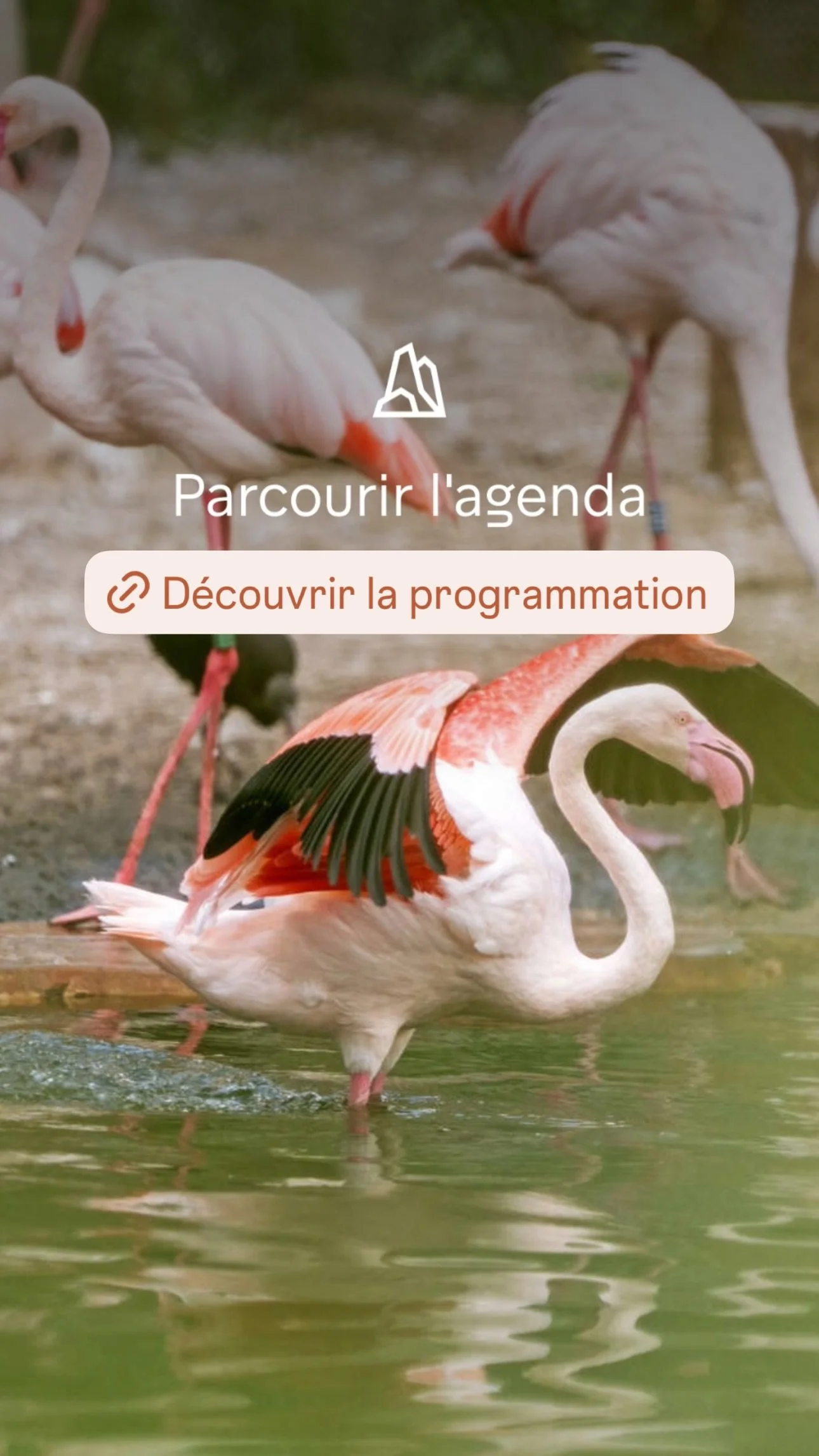 2026 Instagram story for the Zoo de Paris, MNHN, Paris