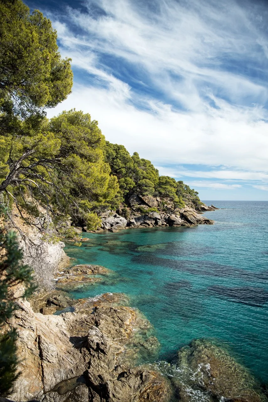 Romaine du Rayol, Rayol-Canadel-sur-Mer, Côte d'Azur, France - 2025