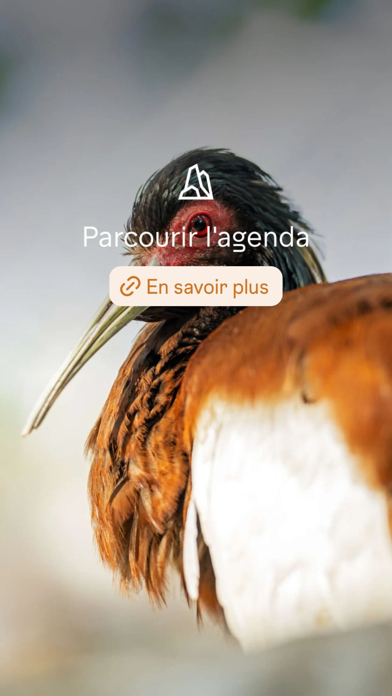 2026 Instagram story for the Zoo de Paris, MNHN, Paris
