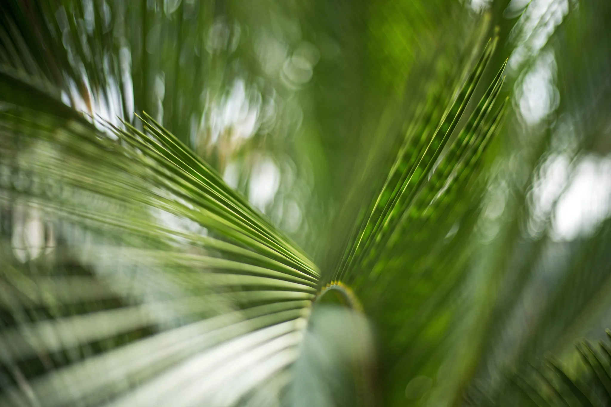 Val Rahmeh - Octobre 2025