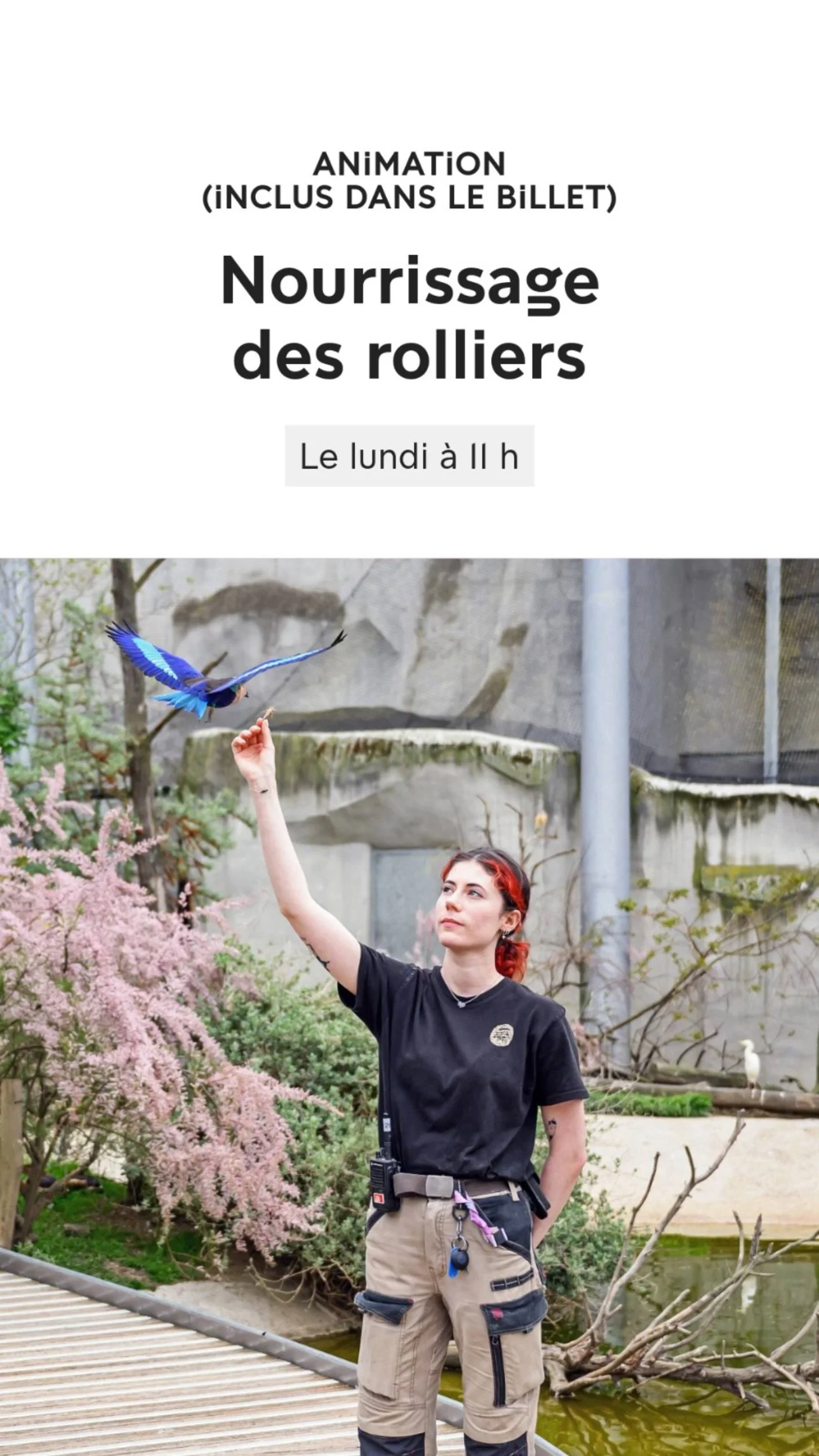 2026 Instagram story for the Zoo de Paris, MNHN, Paris