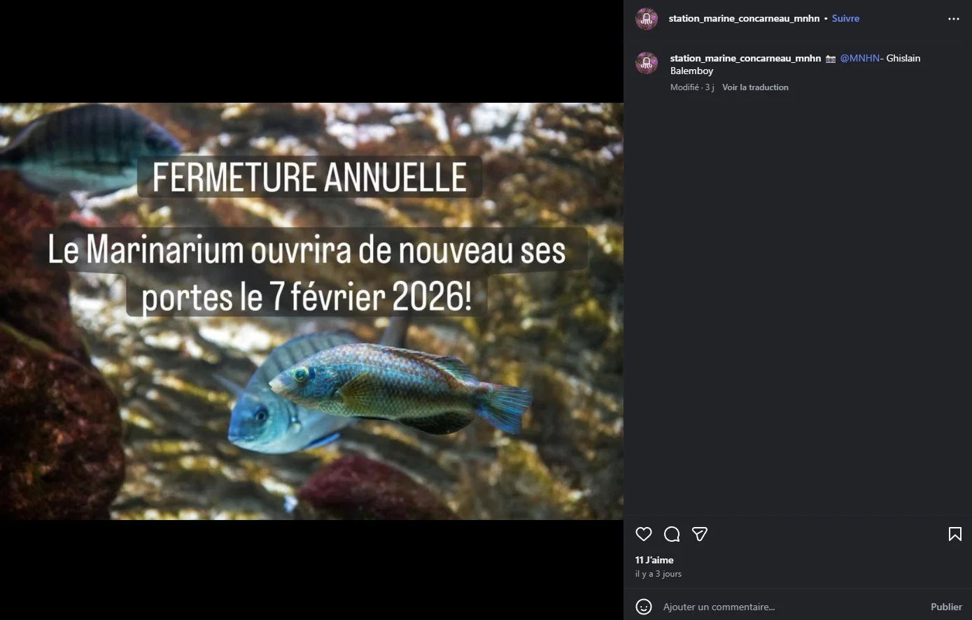 2025 Instagram post for the Marinarium, MNHN, Concarneau