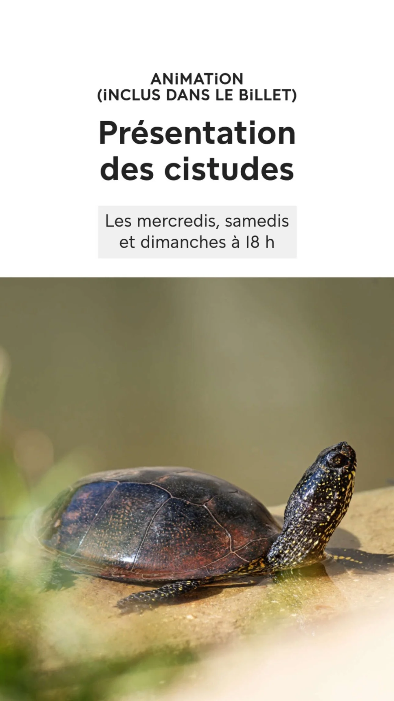 2026 Instagram story for the Zoo de Paris, MNHN, Paris