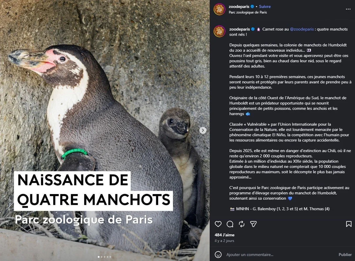 2026 Instagram post for the Zoo de Paris, MNHN, Paris