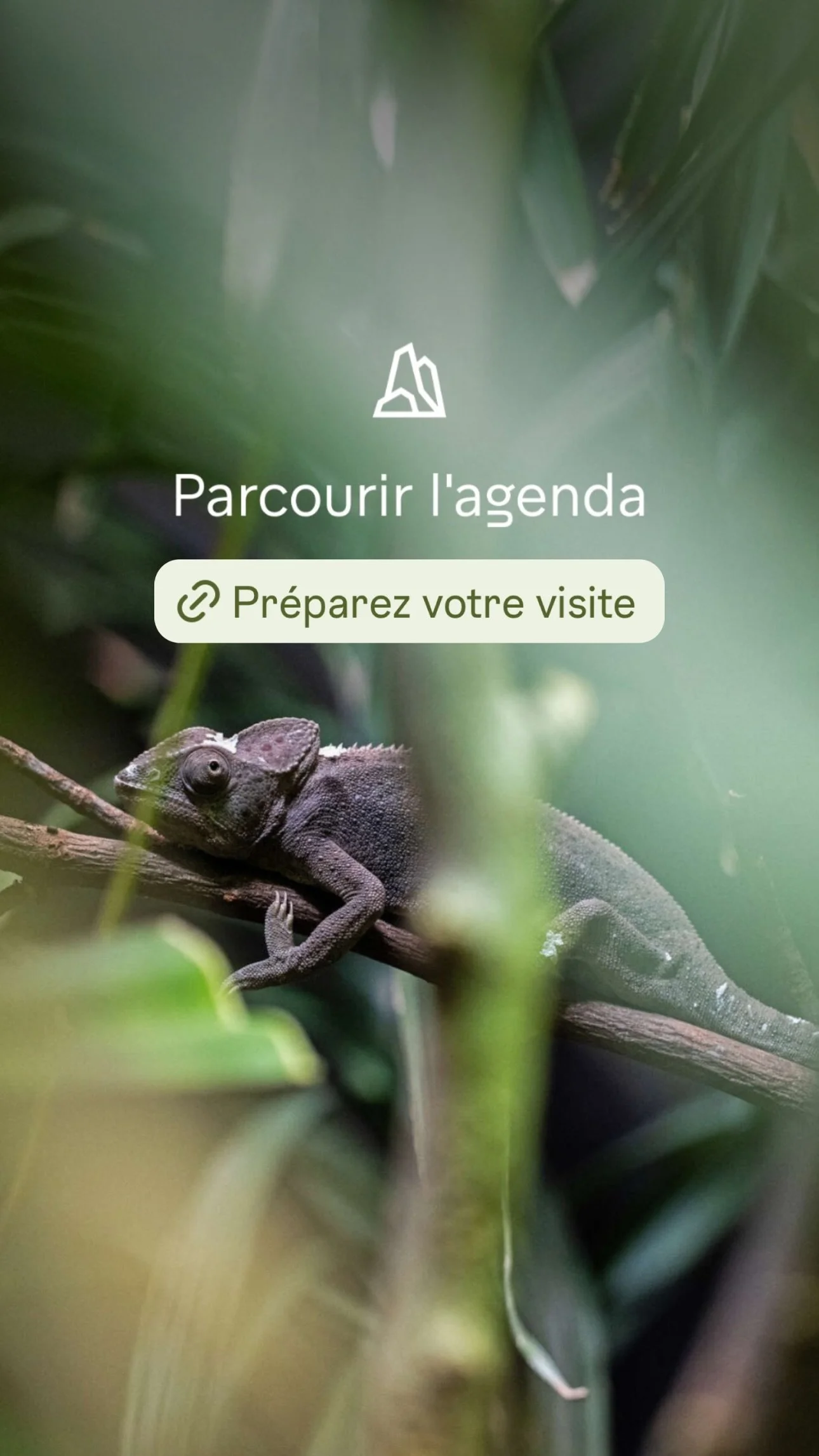 2026 Instagram story for the Zoo de Paris, MNHN, Paris