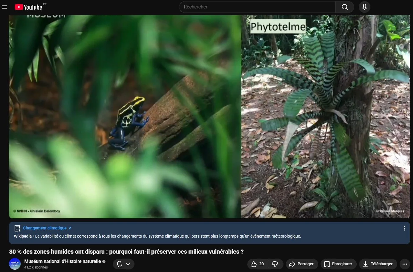 Wetlands conference, MNHN, Paris - 2026