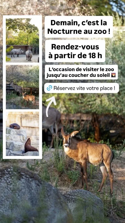 2026 Instagram story for the Zoo de Paris, MNHN, Paris