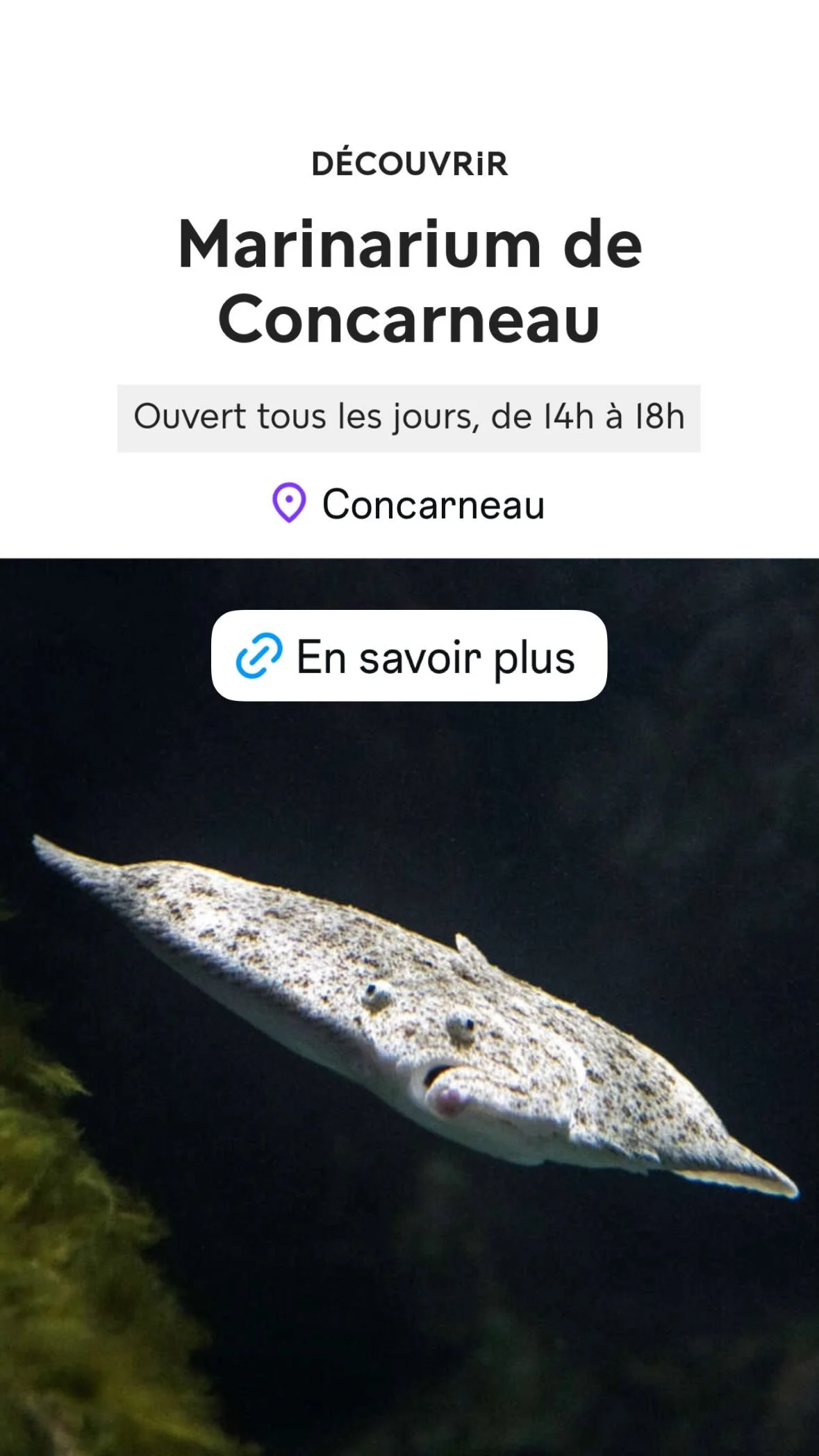 2026 Instagram story for the Muséum, MNHN, Paris