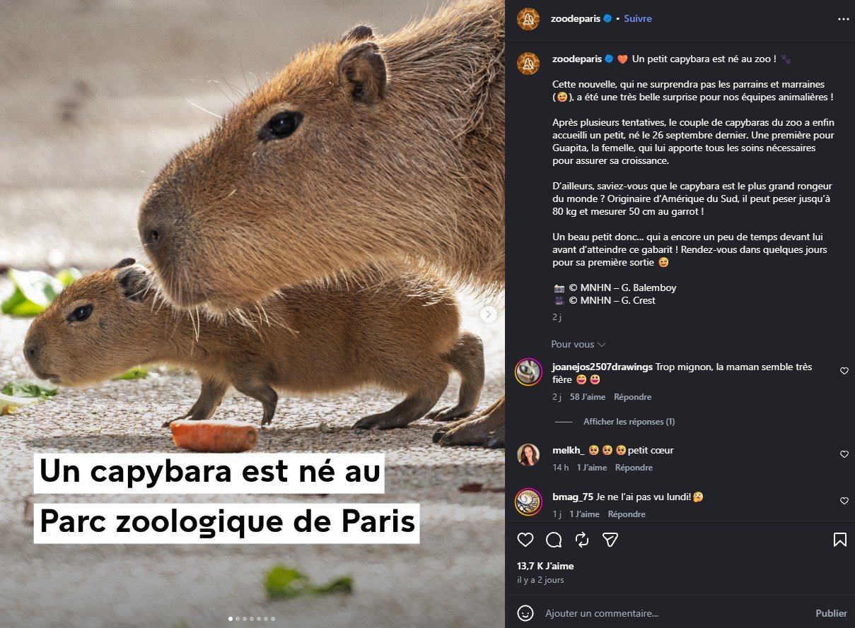 2026 Instagram post for the Zoo de Paris, MNHN, Paris