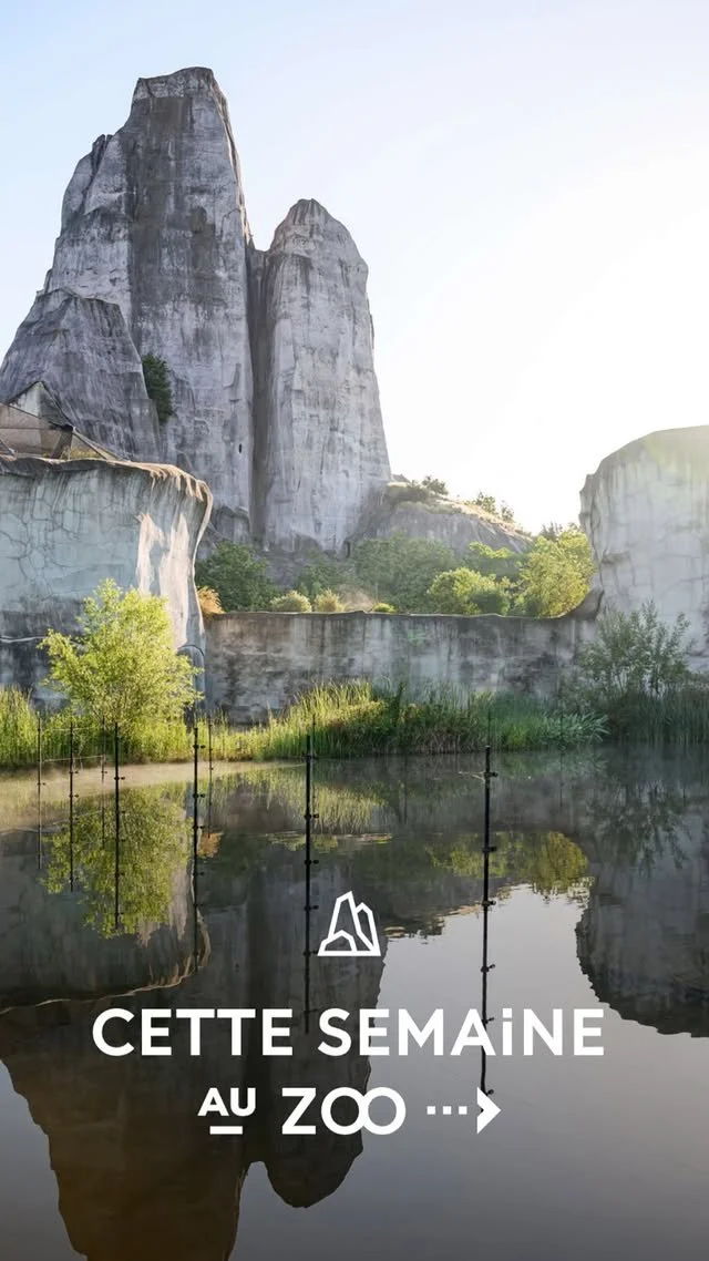 2026 Instagram story for the Zoo de Paris, MNHN, Paris