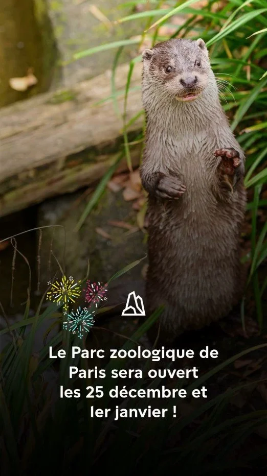 2025 Instagram story for the Zoo de Paris, MNHN, Paris