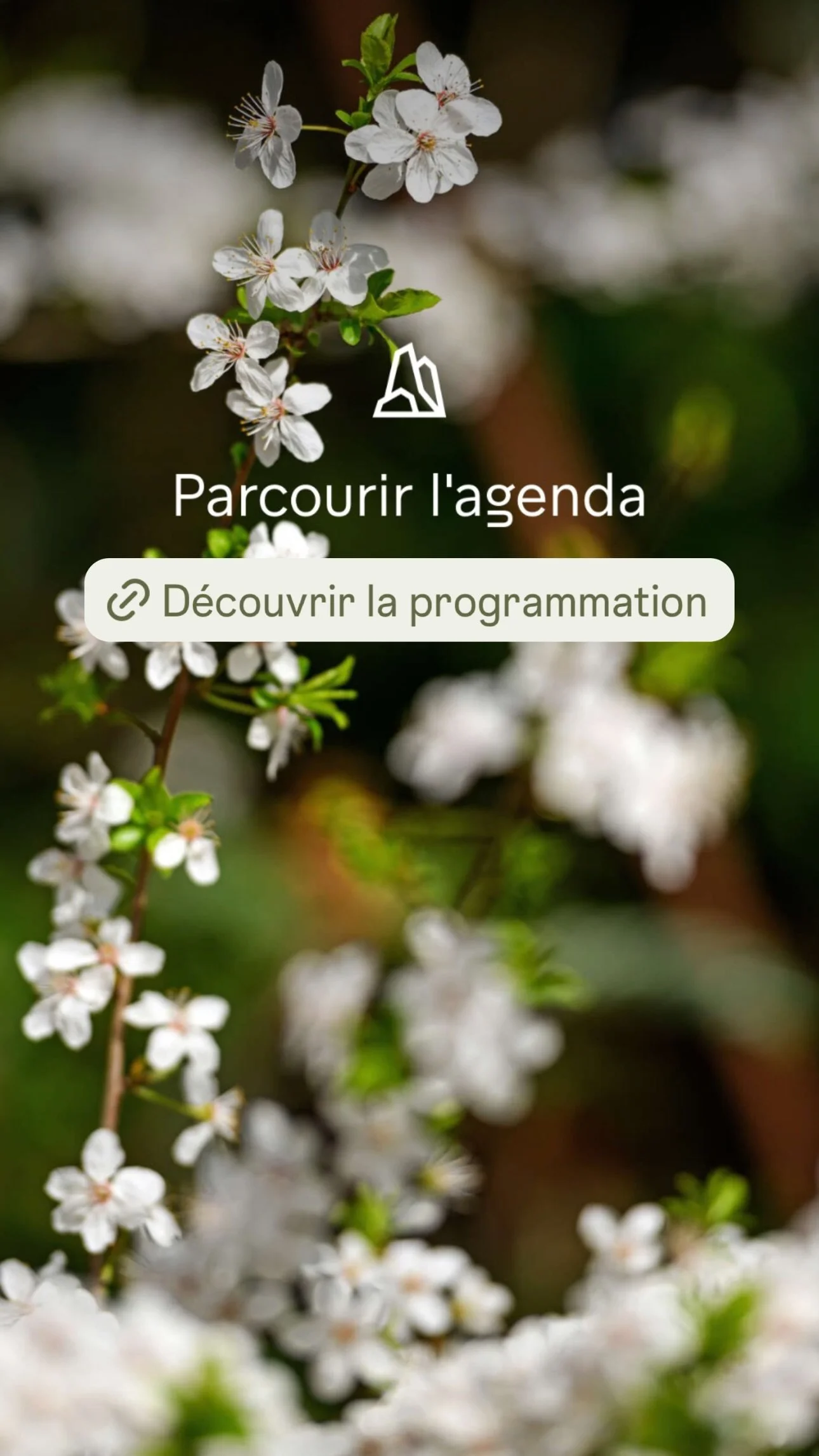 2026 Instagram story for the Zoo de Paris, MNHN, Paris