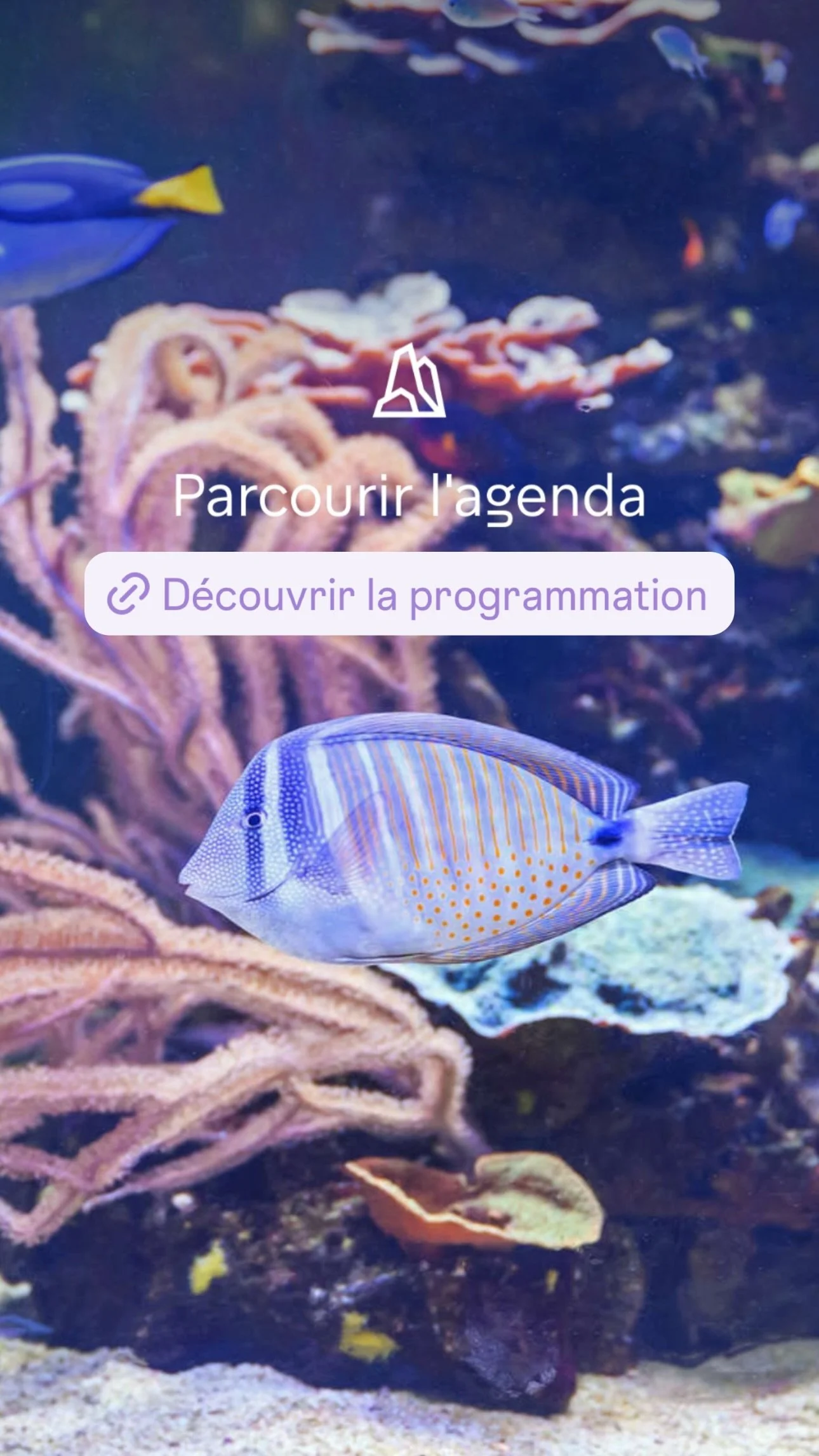 2026 Instagram story for the Zoo de Paris, MNHN, Paris