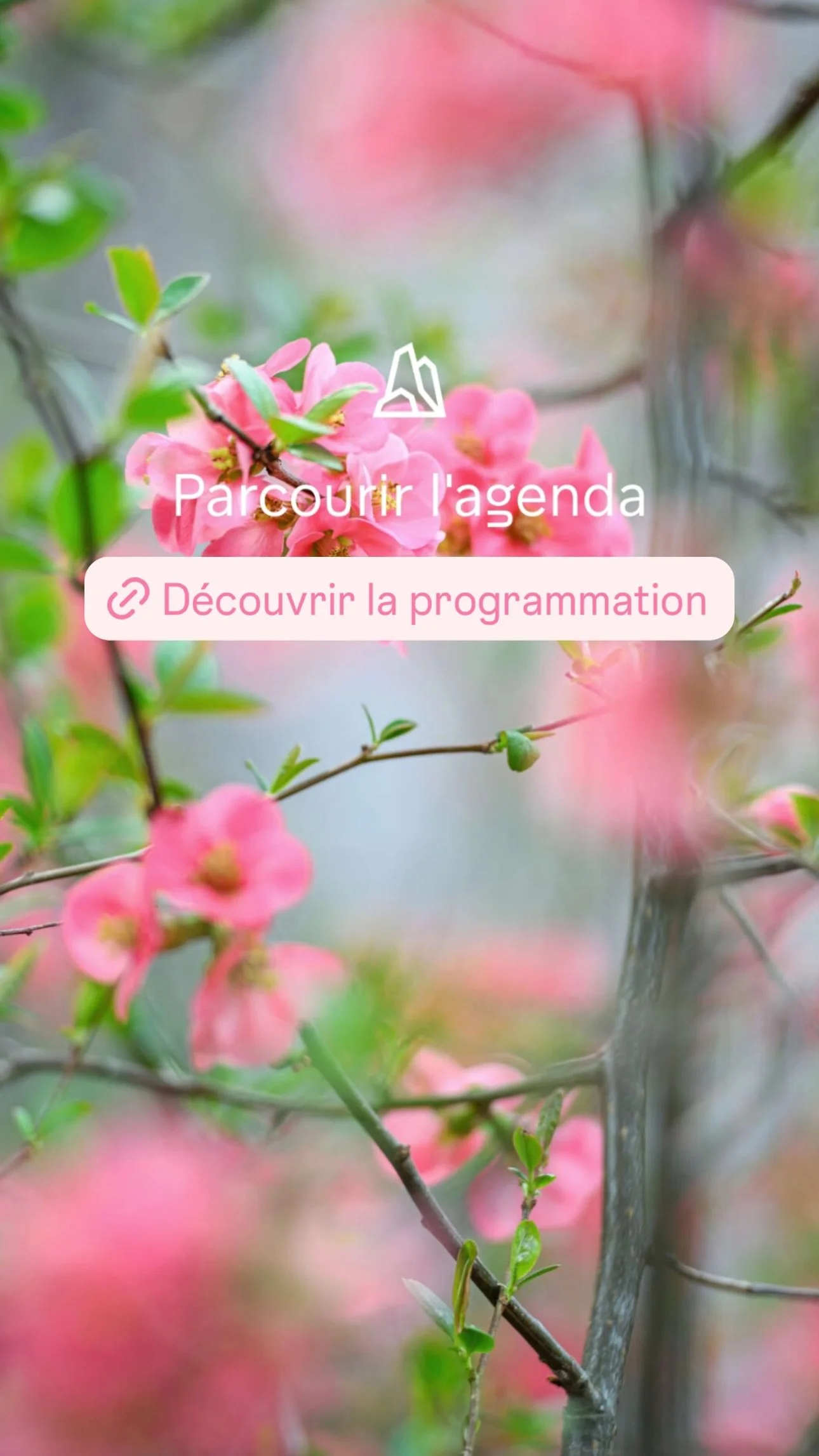 2026 Instagram story for the Zoo de Paris, MNHN, Paris