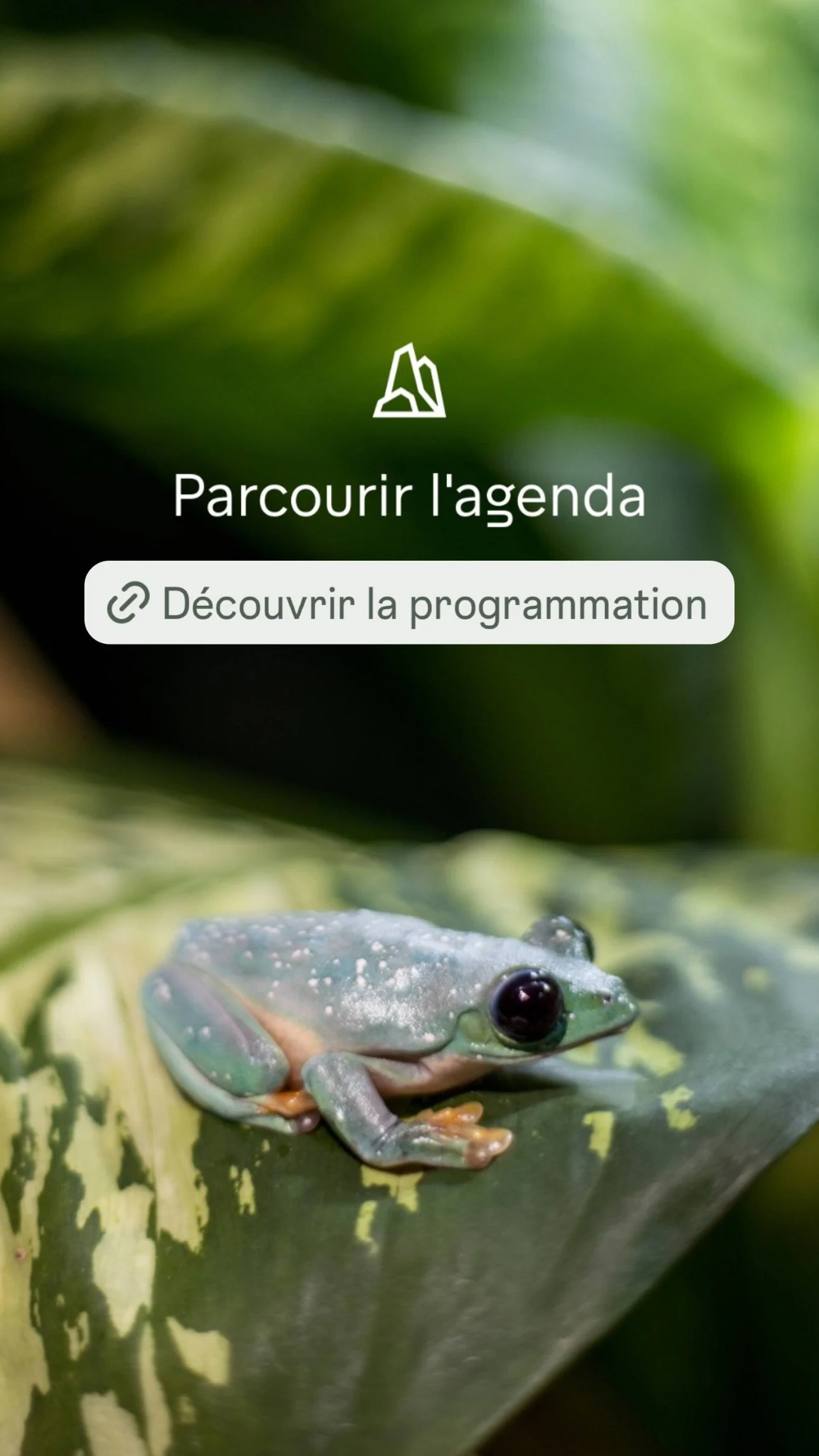 2026 Instagram story for the Zoo de Paris, MNHN, Paris