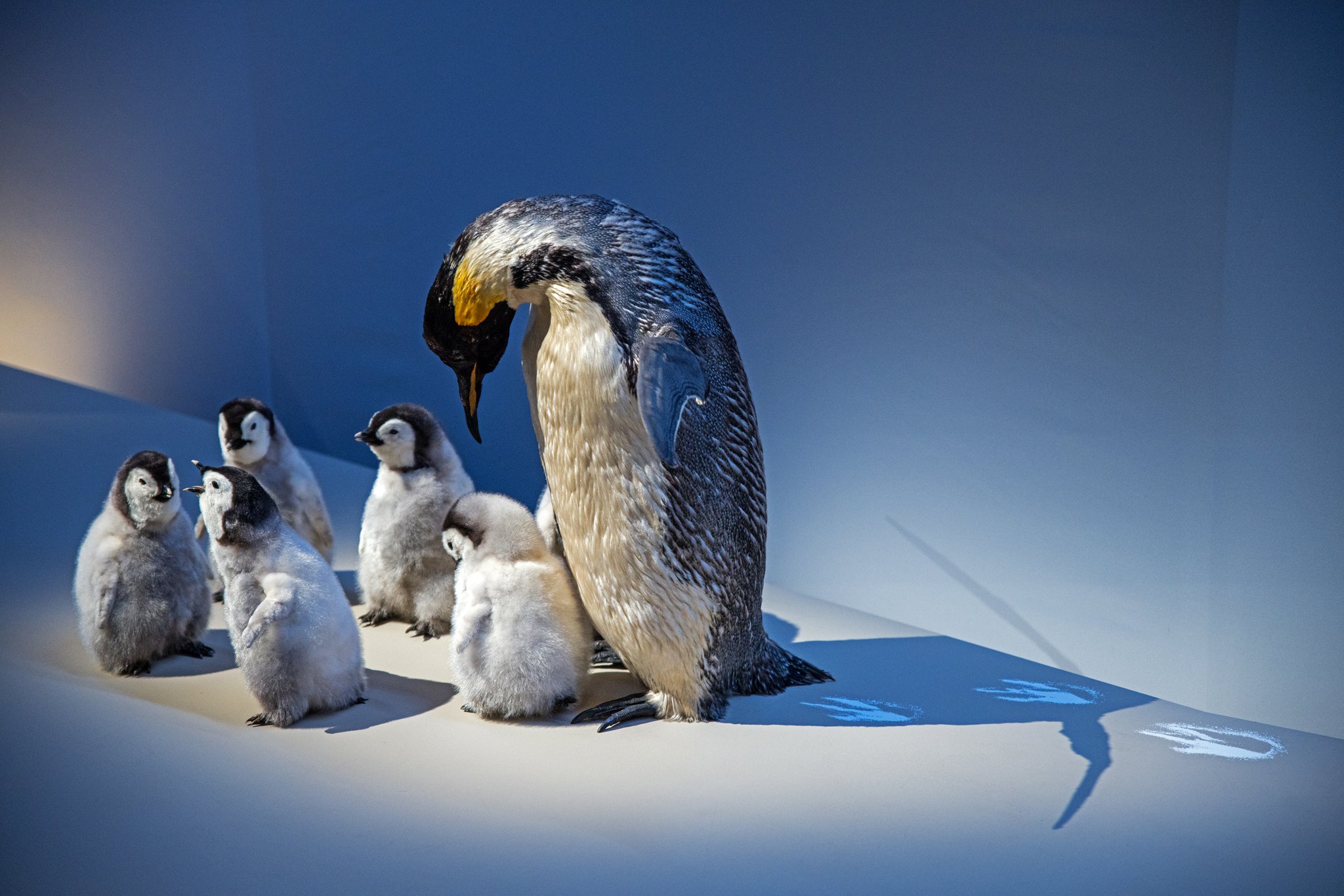 Déserts - Août 2025