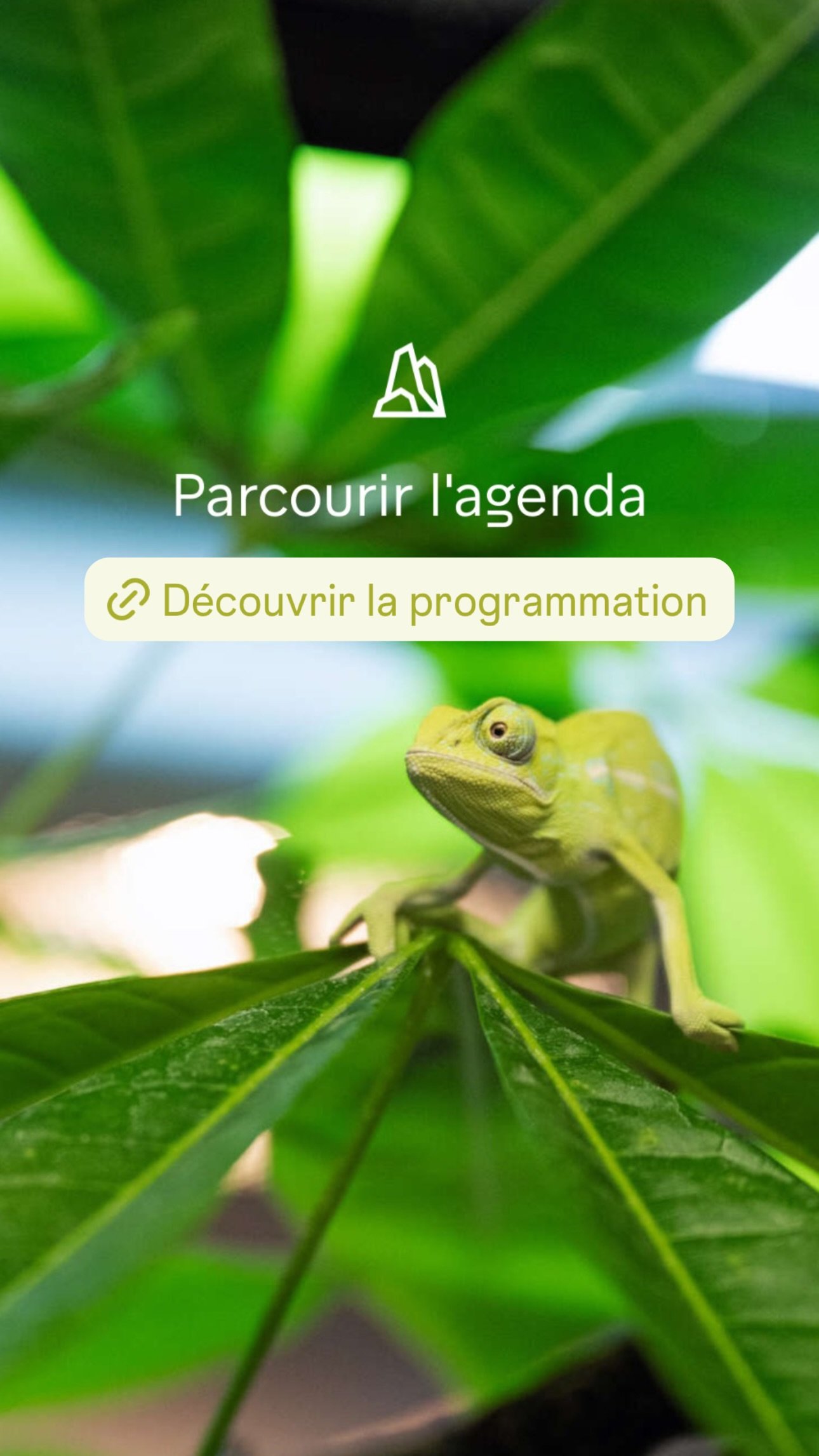 2026 Instagram story for the Zoo de Paris, MNHN, Paris