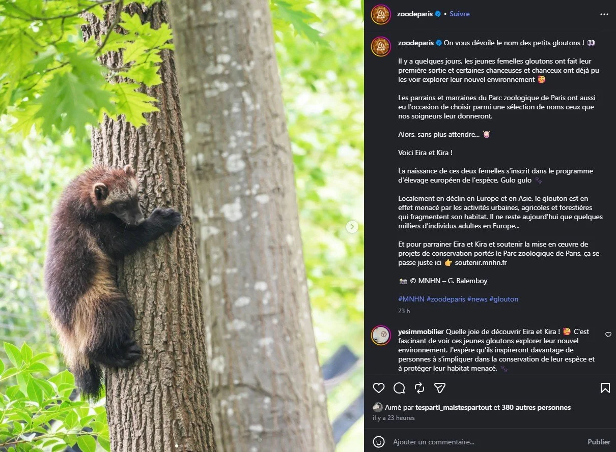 2026 Instagram post for the Zoo de Paris, MNHN, Paris