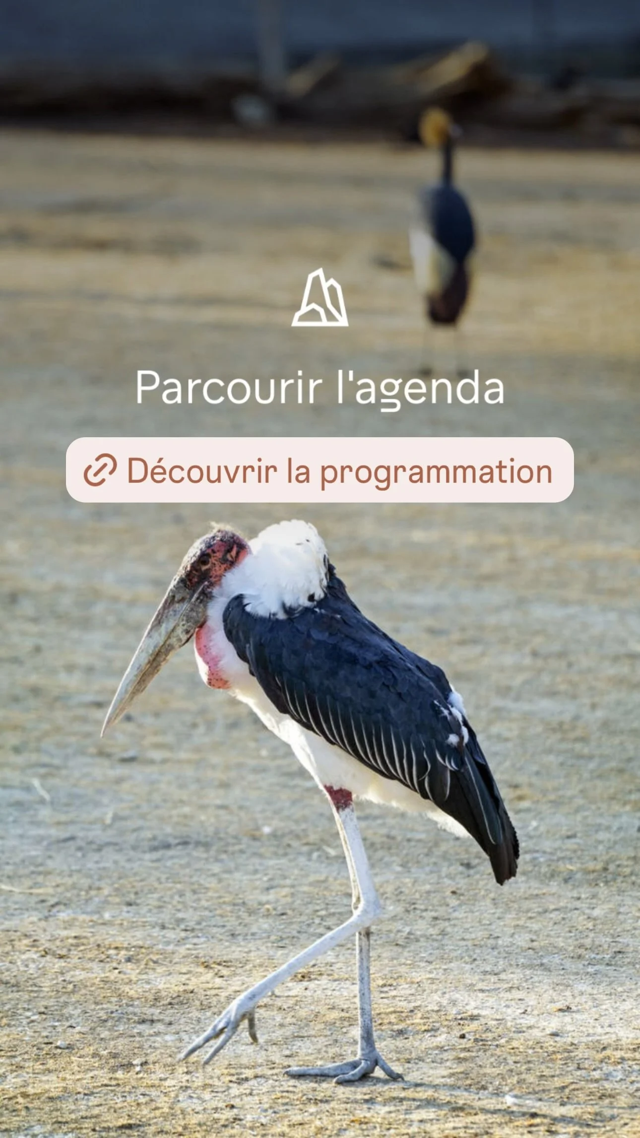 2026 Instagram story for the Zoo de Paris, MNHN, Paris