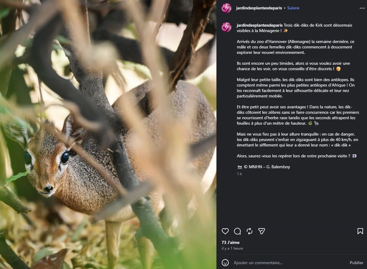 2026 Instagram post for the Jardin des Plantes de Paris, MNHN, Paris