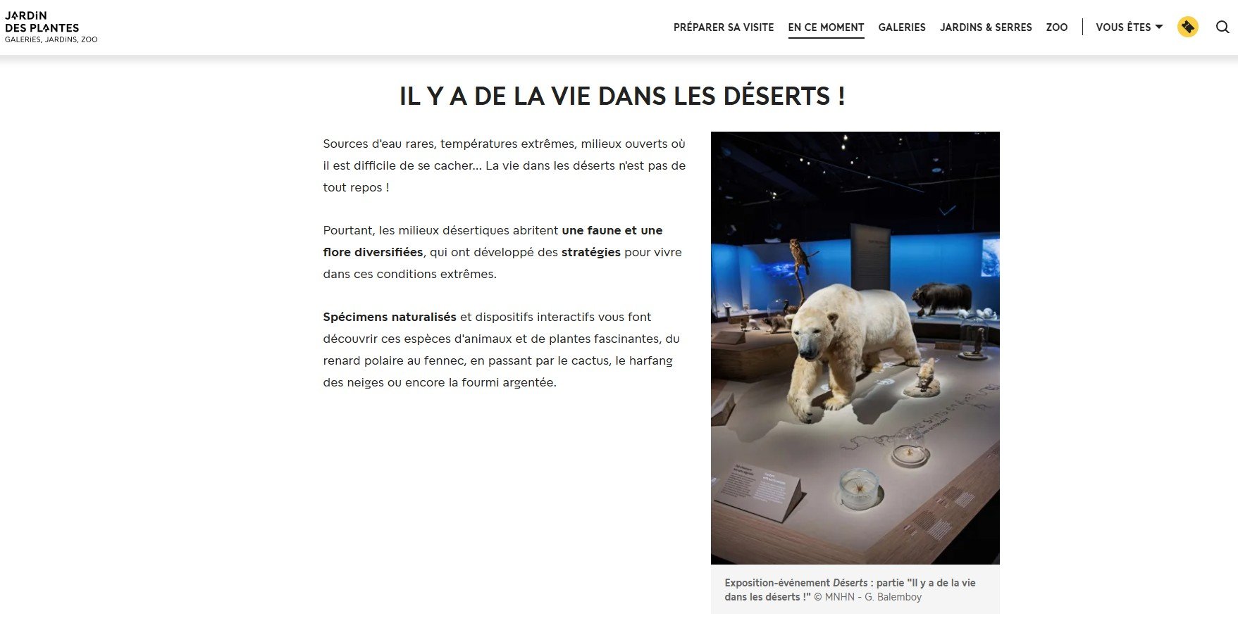 Déserts exhibition, the Jardin des Plantes de Paris website, MNHN, 2025