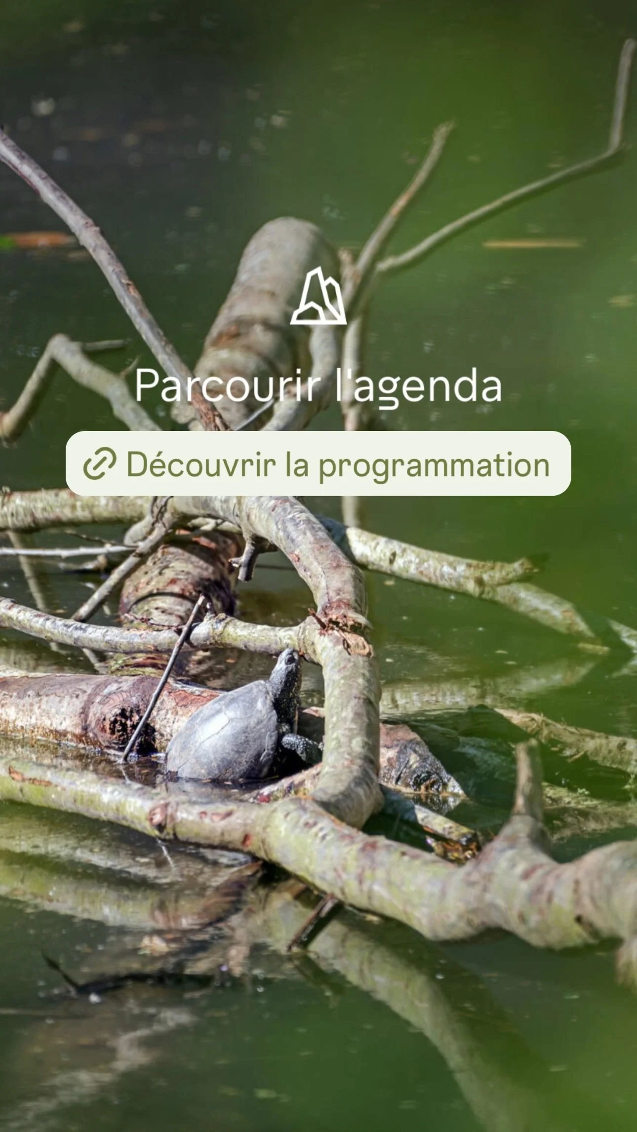 2026 Instagram story for the Zoo de Paris, MNHN, Paris