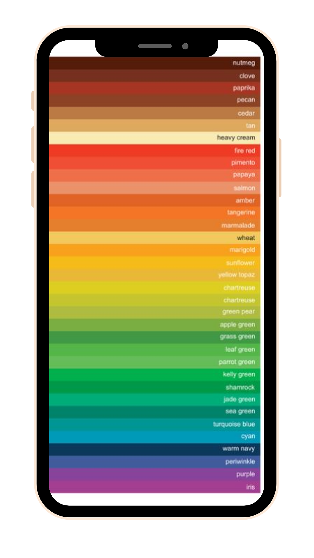 Warm Undertone