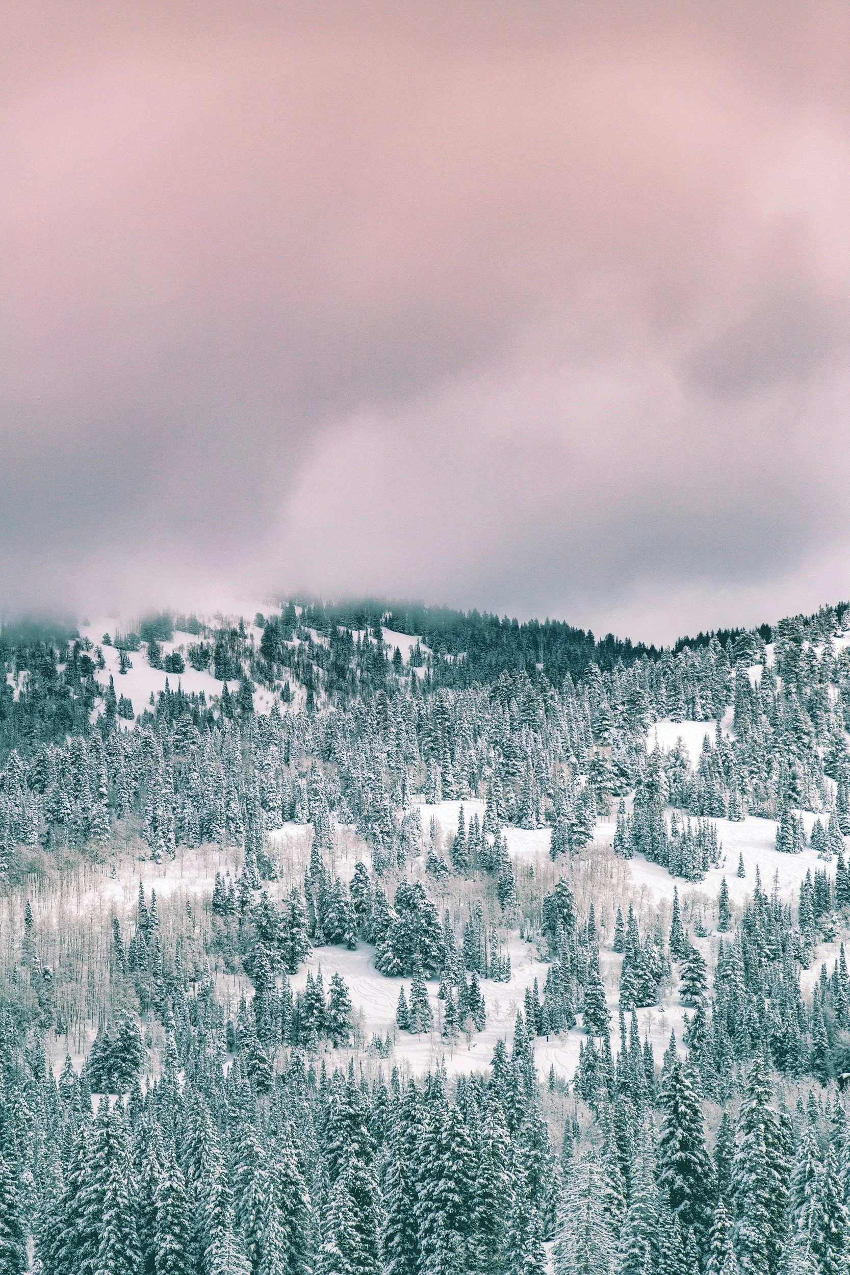 Winter Colour Palette: Cool, Bold & High-Contrast