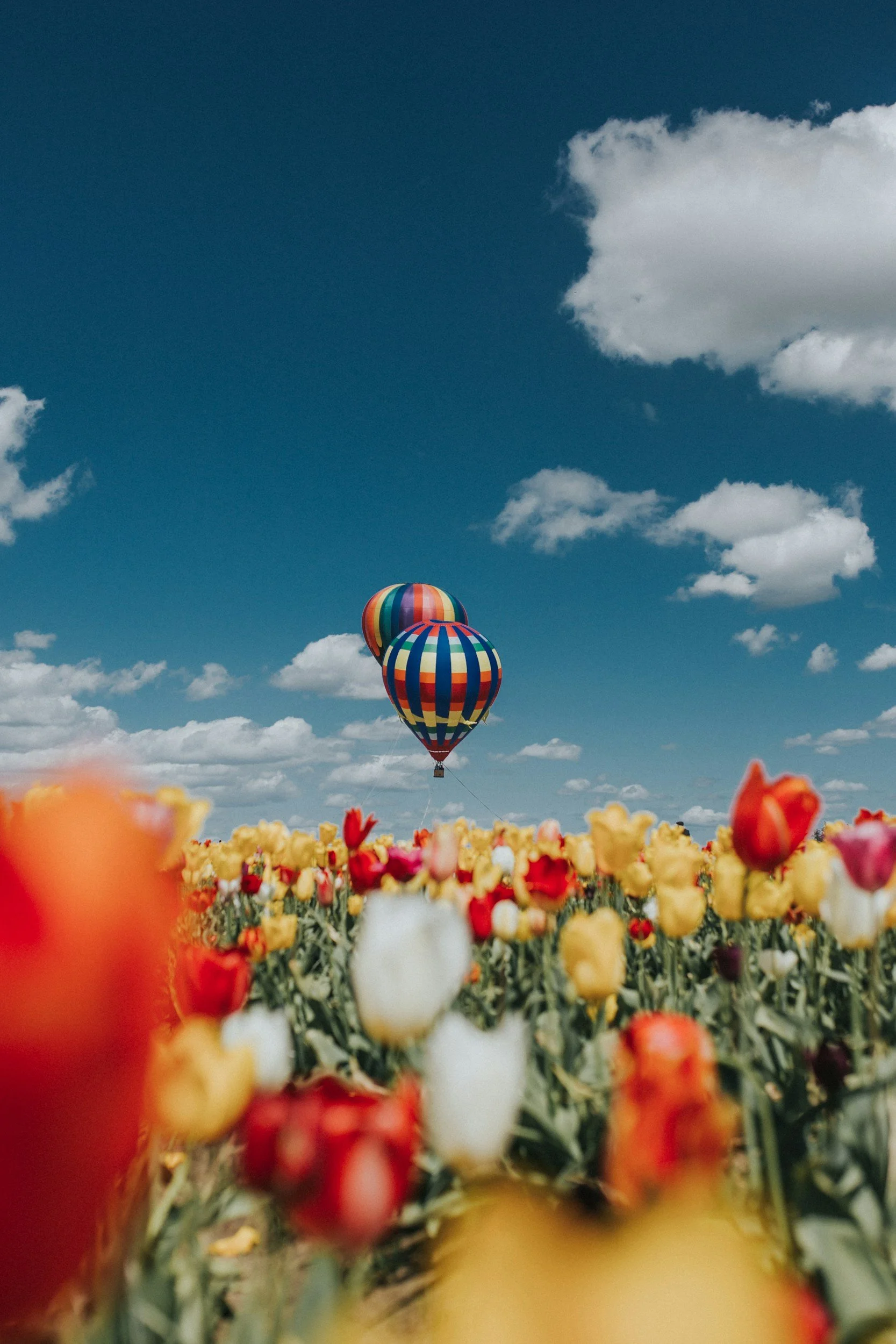 Spring Colour Palette: Fresh, Warm & Bright
