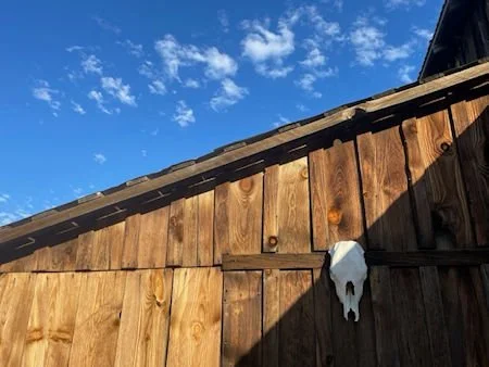 Rancho El Topo: Saddle Up for Adventure in the Sierra Juarez