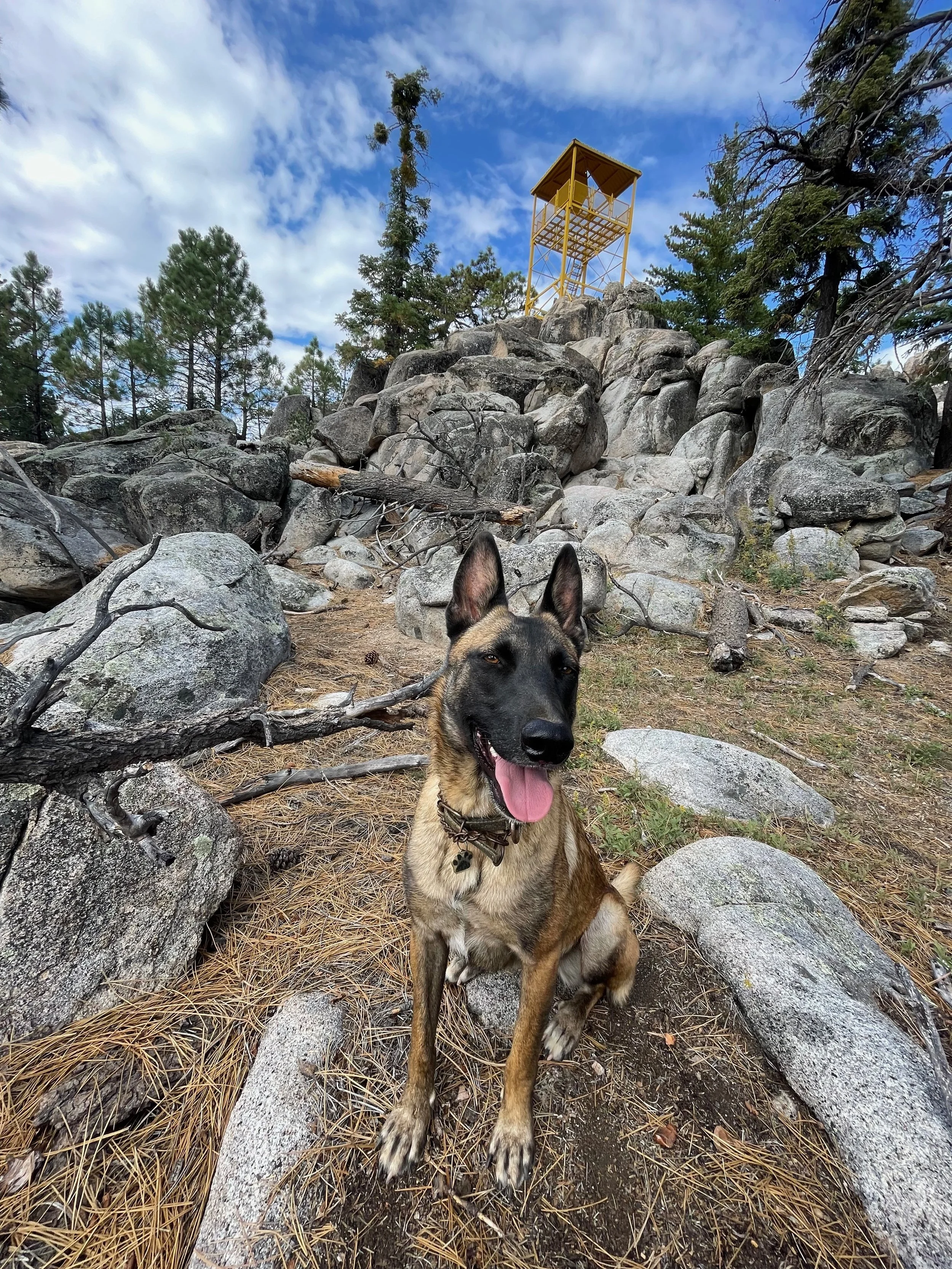Camping Solo in the Sierra de San Pedro Martir