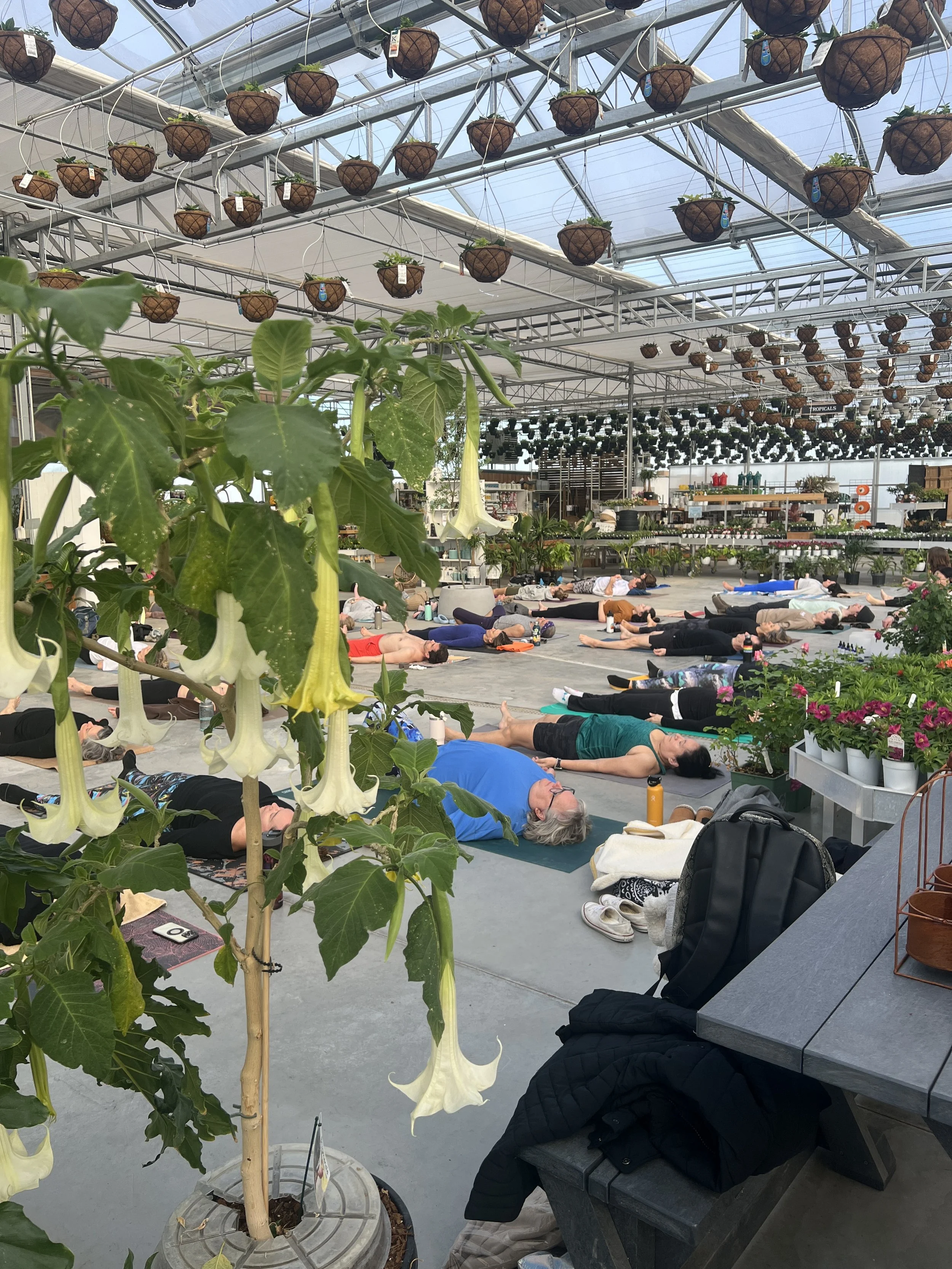 vinyasa in the flowers