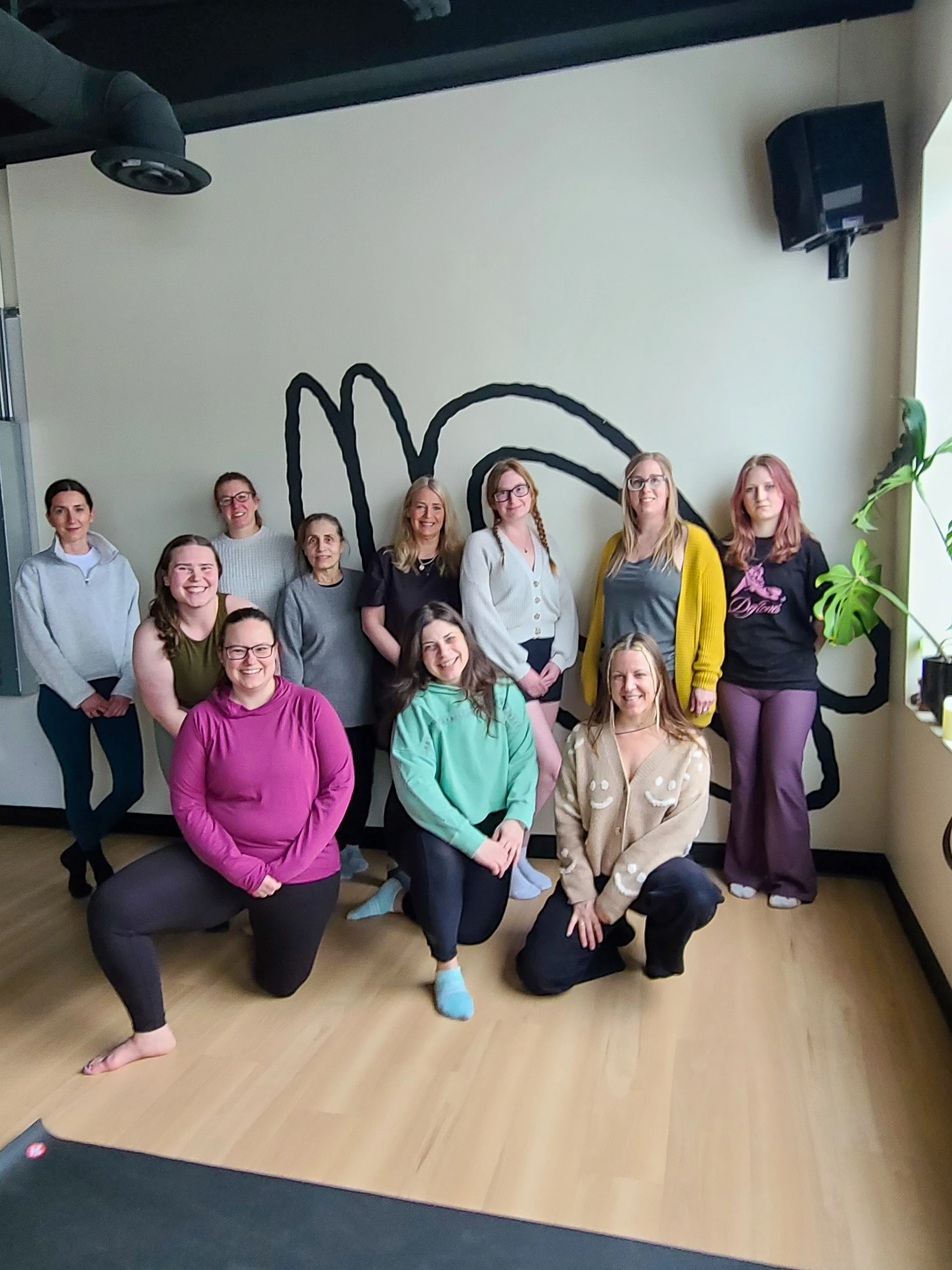 Lymphatic Yoga Series