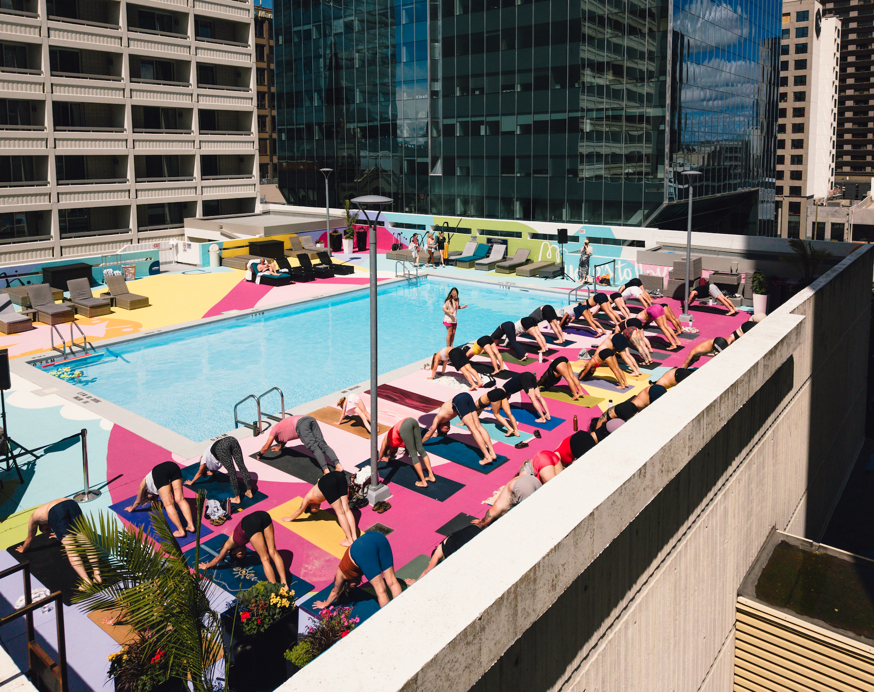international day of yoga celebration