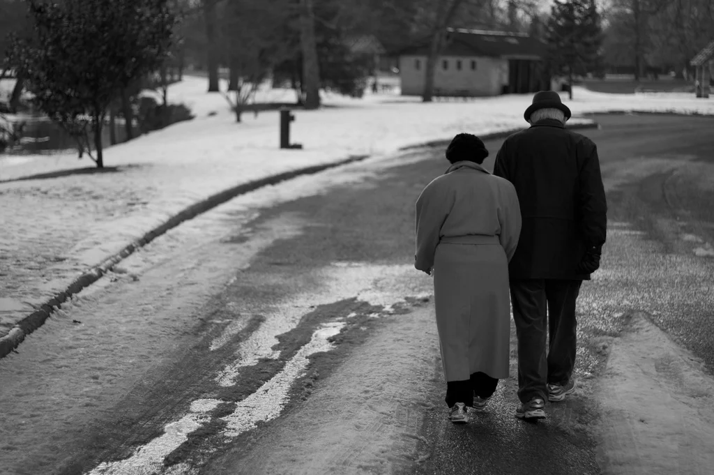 Senior-friendly and Senior-focused Architecture for an Ageing Population