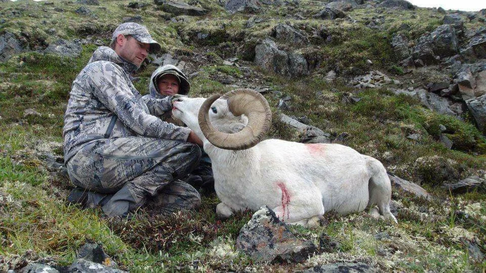 rackranchtrophyhuntssheep2.JPG
