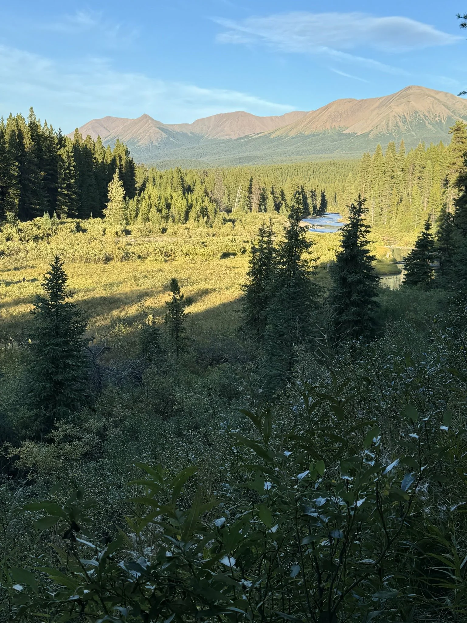 rackranchtrophyhunts87.JPG